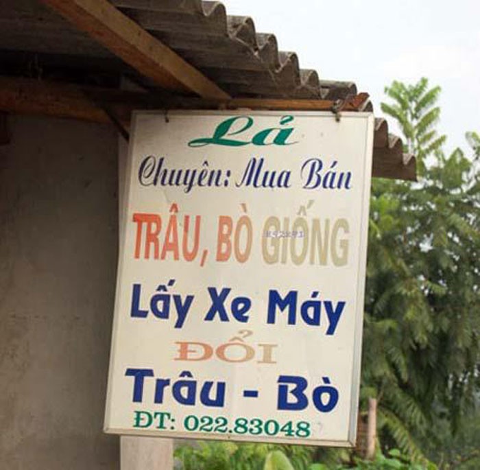 Trở lại hình thức trao đổi hàng lấy hàng.